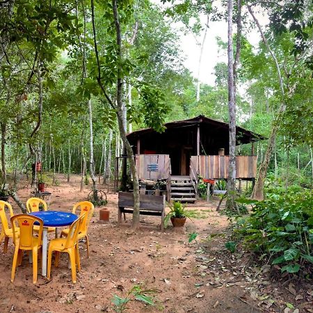 Hospedagem Aldeia Do Leao Hotel Carolina  Kültér fotó