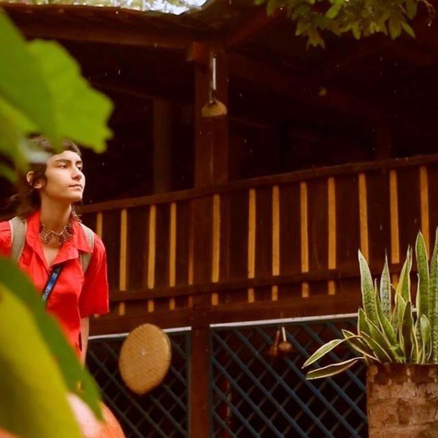 Hospedagem Aldeia Do Leao Hotel Carolina  Kültér fotó